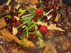 -老板恋上鱼(恒隆广场店)