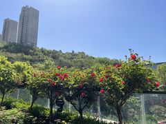 -济南喜来登酒店