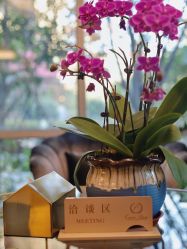 -馨月汇·独栋月子会所(静安店)