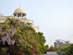 -双拥公园