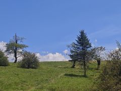 -硗碛藏寨·神木垒景区