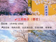 -洛阳市牡丹公园