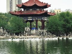 -青城公园