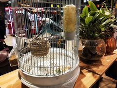 -舌尖上的食缘花园主题餐厅