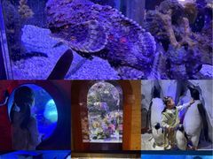 -太平洋海底世界