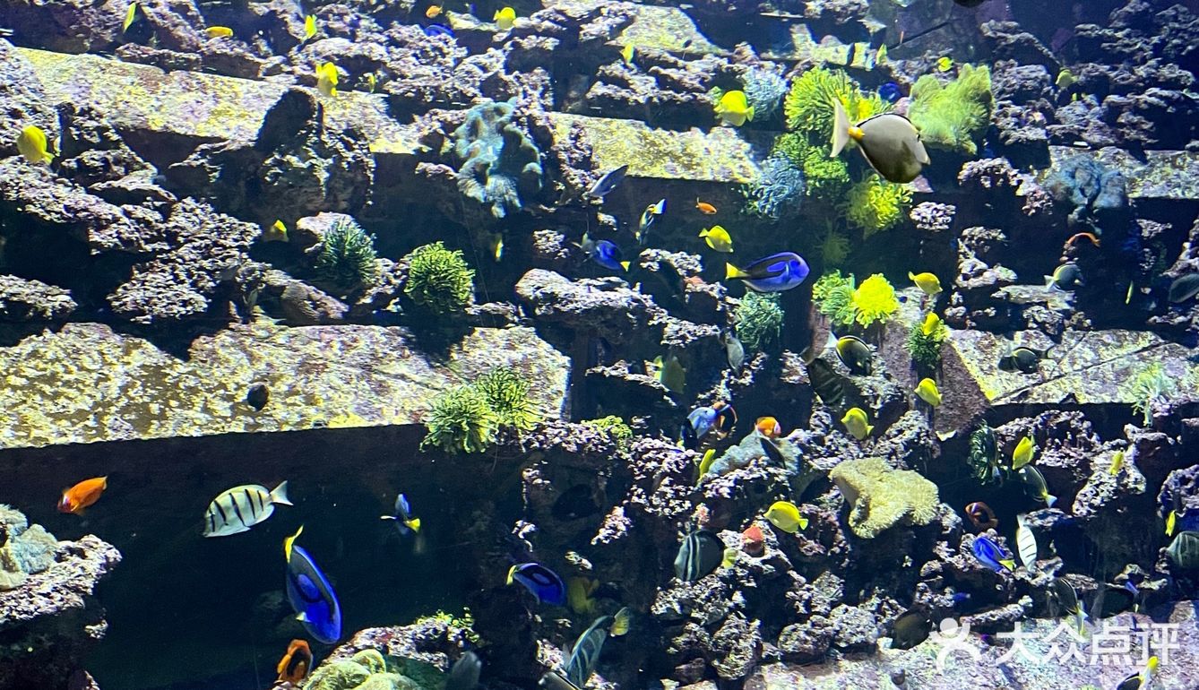 三亚沉浸式体验万圣节🎃失落的空间水族馆“深海尖叫夜