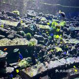 三亚沉浸式体验万圣节🎃失落的空间水族馆“深海尖叫夜