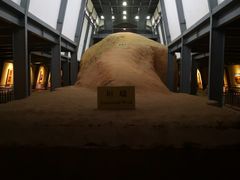 -汉景帝阳陵博物院
