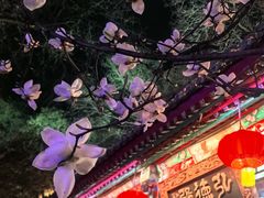 -白家大院·王府宫廷菜(苏州街店)