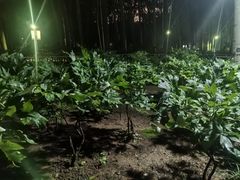-仁和公园(顺义区)