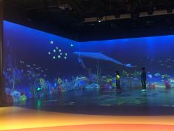 -小鸡哆哆故事屋·儿童乐园(嘉里城店)