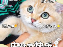 -恒幸动物医院·急重症转诊中心·神经内外科·CT核磁