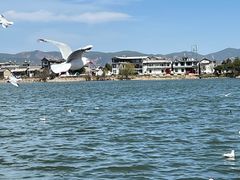 -大理洱海