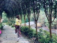 -木兰云雾山