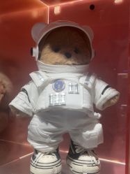 -TeddyTales莉娜熊(国贸店)