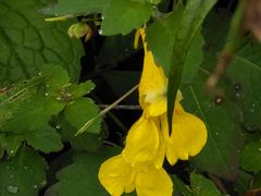 -野三坡百草畔景区