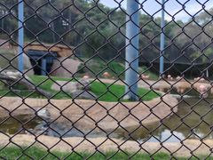 -沈阳森林动物园