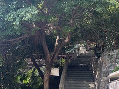 -巴倒烫陆派火锅山庄(南山总店)