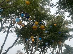 -空港花田景区