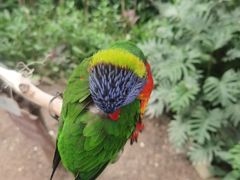 -南宫五洲植物乐园