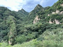 -大岭沟猕猴桃谷风景区