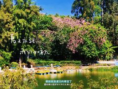 -松山湖南湖湾露营营地