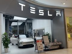 -TESLA 特斯拉(广州天环广场体验店)