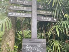 -南山植物园