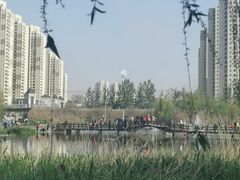 -前关湿地公园