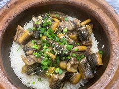 -红星光发煲仔饭(大石街店)