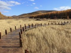 -塞罕坝国家级自然保护区