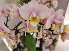 -二酉书店TOYOU BOOKS