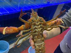 -金海湾海鲜排档(朱家尖店)