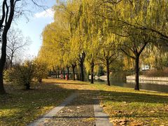 -同济大学(嘉定校区)