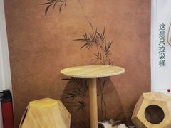 -楼上猫咖(罗湖店)