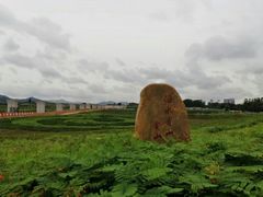 -光明小镇欢乐田园