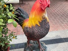 -强记烧鸡(信业悦都汇店)