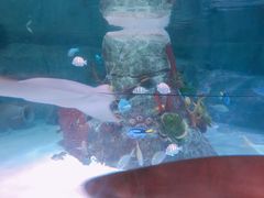 -沈阳海洋探索中心