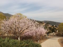 -鬼笑石后山停车场