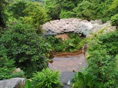 -南丹山森林王国