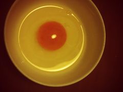 -牛玄庵日式寿喜烧·料理店(新源里店)