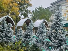 -HERRE·FARM 赫尔露营农场·团建聚会包场