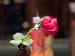 餐具摆设-清水亭湖北菜(大屯DT51店)