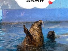 -太平洋海底世界