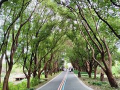 -同里国家湿地公园
