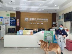 -美联众合动物医院·24h京西诊疗中心