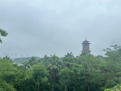 -厦门园林博览苑