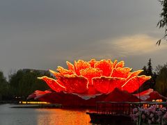 -洛阳市隋唐城遗址植物园