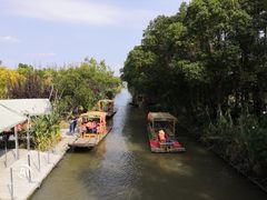 -上海长兴岛郊野公园