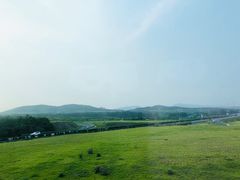 -金太狼4k国际影城